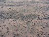 Tar Beach