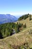 mountainroad