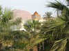 Palms and Mosque