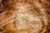 Texture