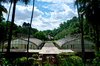 Nursery garden