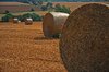 bales