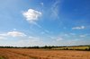 rural