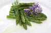 Summer Food