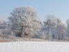 White Winter 1