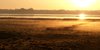 Morning mist 1