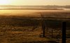 Morning mist 3