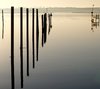 Reflections 1