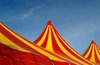 Circus is in town 2 1