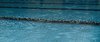Pool 4