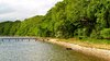 Coastline with forrest 1