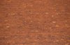 Texture - Red bricks
