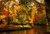 Autum in parks 2