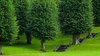 Summerpark 2