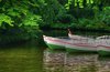 Rowboats - HDR
