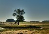 Wildpark HDR