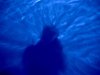 Mr Shadow