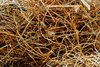 Texture - Iron