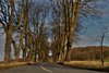 Avenue- HDR