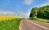 Rape and road - HDR