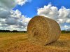 Hay - HDR