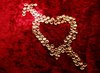 Heart of \