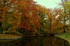 Autumn Park