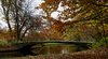 Park Bridge