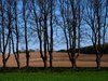Countryside