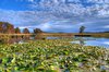 Lake - HDR