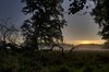 Misty morning-  HDR