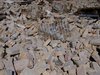 Texture - debris