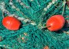 Texture - net and trawl