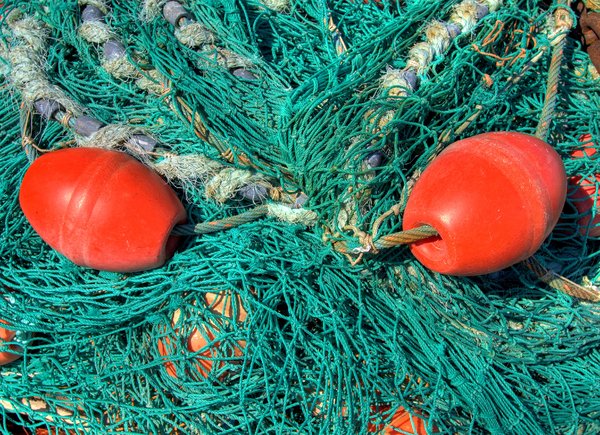 Texture - net and trawl: No description