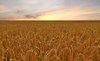 Crop - HDR