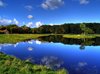 Forest Lake II- HDR