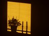 Games of shadow