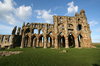Whitby Abbey 5