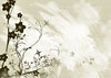 Grunge Paper Graphics