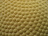 texture yellow