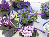 african violet flower arrangem