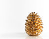 golden pine cone