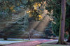 Winter Sun 2