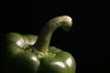 Green Pepper on Black