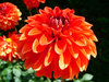 ball of flame