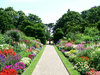 flowered path