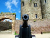 cannon