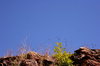 Wall and Sky 2