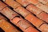 Roof Tiles