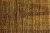 Bamboo Background